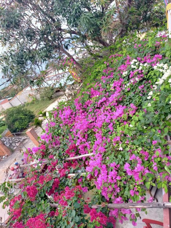 ホテル Confetti House クイニョン エクステリア 写真